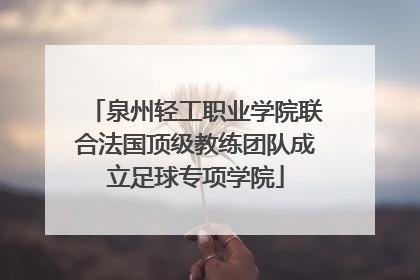泉州轻工职业学院联合法国顶级教练团队成立足球专项学院