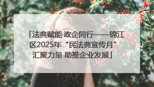 法典赋能·政企同行——锦江区2025年“民法典宣传月”汇聚力量 助推企业发展