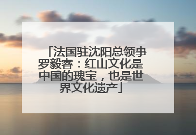 法国驻沈阳总领事罗毅睿：红山文化是中国的瑰宝，也是世界文化遗产