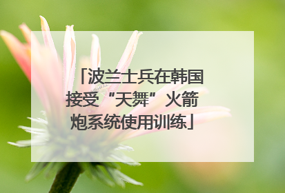 波兰士兵在韩国接受“天舞”火箭炮系统使用训练