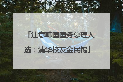 注意韩国国务总理人选：清华校友金民锡
