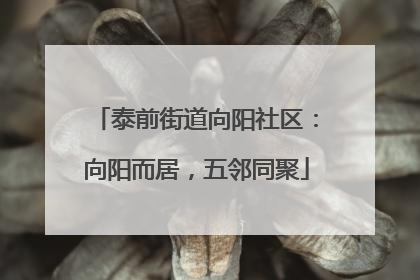 泰前街道向阳社区：向阳而居，五邻同聚