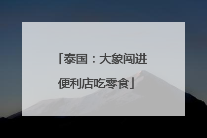 泰国：大象闯进便利店吃零食