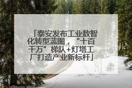 泰安发布工业数智化转型蓝图，“十百千万”梯队+灯塔工厂打造产业新标杆