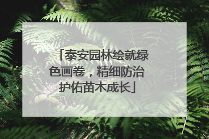 泰安园林绘就绿色画卷，精细防治护佑苗木成长