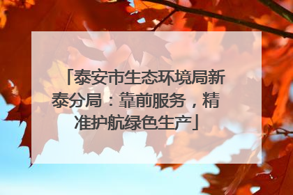 泰安市生态环境局新泰分局：靠前服务，精准护航绿色生产
