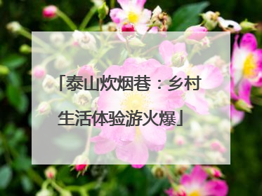 泰山炊烟巷：乡村生活体验游火爆
