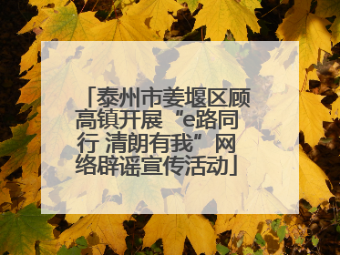 泰州市姜堰区顾高镇开展“e路同行 清朗有我”网络辟谣宣传活动