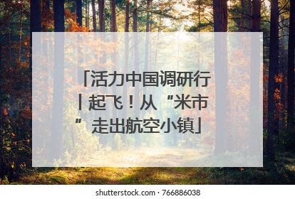 活力中国调研行丨起飞！从“米市”走出航空小镇