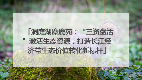 洞庭湖麋鹿苑：“三资盘活”激活生态资源，打造长江经济带生态价值转化新标杆