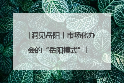 洞见岳阳丨市场化办会的“岳阳模式”
