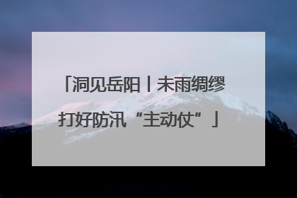 洞见岳阳丨未雨绸缪 打好防汛“主动仗”