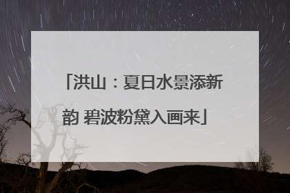 洪山：夏日水景添新韵 碧波粉黛入画来