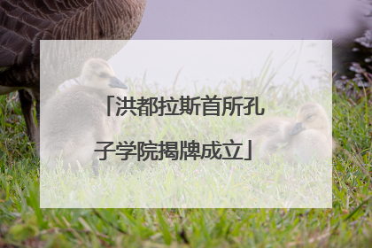 洪都拉斯首所孔子学院揭牌成立