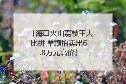 海口火山荔枝王大比拼 单颗拍卖出6.8万元高价