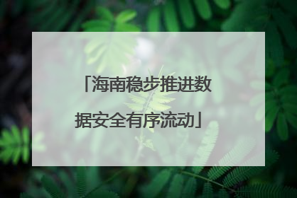 海南稳步推进数据安全有序流动