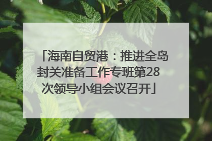 海南自贸港：推进全岛封关准备工作专班第28次领导小组会议召开