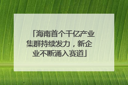 海南首个千亿产业集群持续发力，新企业不断涌入赛道