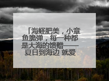 海蛏肥美，小章鱼脆弹，每一种都是大海的馈赠——夏日到海边 就爱那口鲜