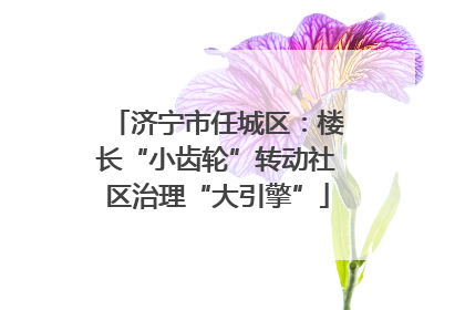 济宁市任城区：楼长“小齿轮”转动社区治理“大引擎”