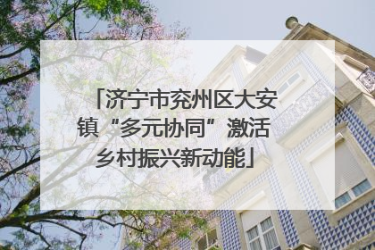 济宁市兖州区大安镇“多元协同”激活乡村振兴新动能