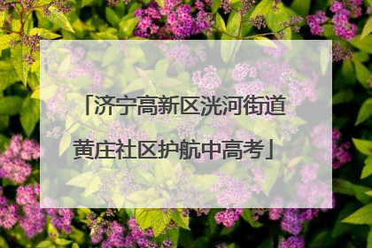 济宁高新区洸河街道黄庄社区护航中高考