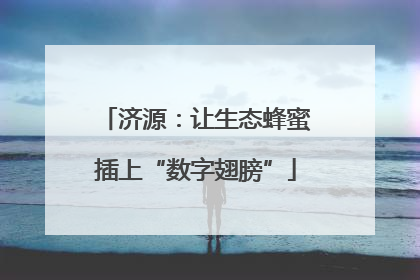 济源：让生态蜂蜜插上“数字翅膀”