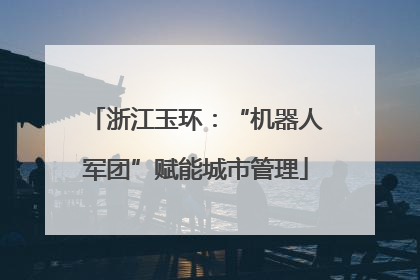浙江玉环：“机器人军团”赋能城市管理