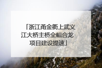 浙江甬金衢上武义江大桥主桥全幅合龙 项目建设提速