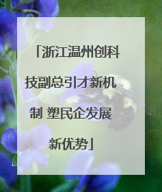 浙江温州创科技副总引才新机制 塑民企发展新优势
