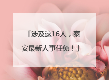 涉及这16人，泰安最新人事任免！