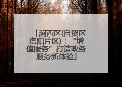 涧西区(自贸区洛阳片区)：“增值服务”打造政务服务新体验