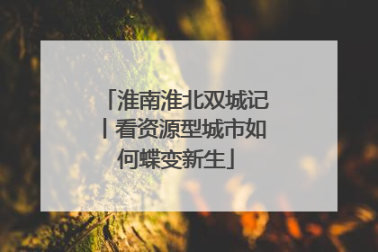 淮南淮北双城记丨看资源型城市如何蝶变新生
