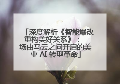 深度解析《智能爆改 重构美好关系》：一场由马云之问开启的美业 AI 转型革命