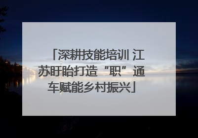 深耕技能培训 江苏盱眙打造“职”通车赋能乡村振兴