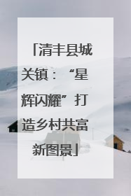 清丰县城关镇：“星辉闪耀”打造乡村共富新图景