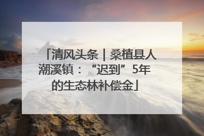 清风头条｜桑植县人潮溪镇：“迟到”5年的生态林补偿金