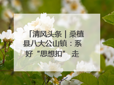 清风头条｜桑植县八大公山镇：系好“思想扣” 走稳“青廉路”