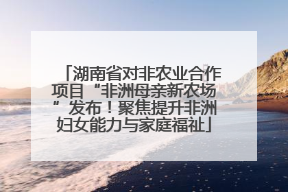 湖南省对非农业合作项目“非洲母亲新农场”发布！聚焦提升非洲妇女能力与家庭福祉