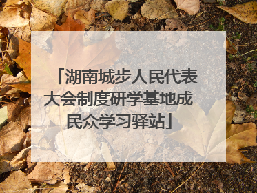 湖南城步人民代表大会制度研学基地成民众学习驿站