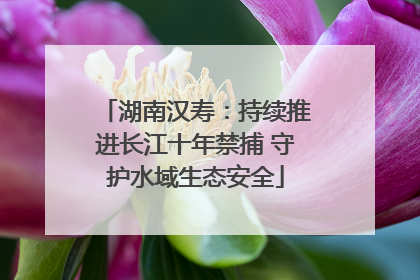 湖南汉寿：持续推进长江十年禁捕 守护水域生态安全