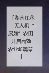 湖南江永：无人机“展翅”农田 开启高效农业新篇章