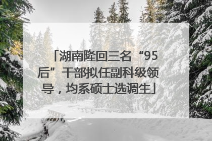 湖南隆回三名“95后”干部拟任副科级领导，均系硕士选调生
