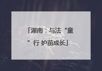 湖南：与法“童”行 护苗成长