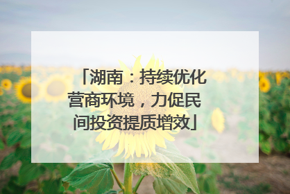 湖南：持续优化营商环境，力促民间投资提质增效