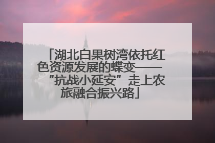 湖北白果树湾依托红色资源发展的蝶变——“抗战小延安”走上农旅融合振兴路