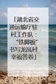 湖北省交通运输厅驻村工作队：“铁脚板”书写龙凤村幸福答卷
