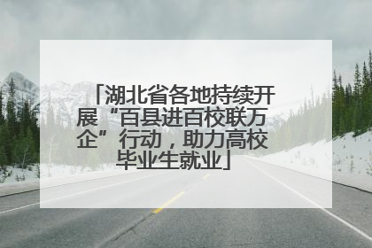湖北省各地持续开展“百县进百校联万企”行动，助力高校毕业生就业