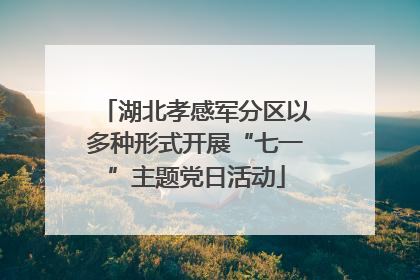 湖北孝感军分区以多种形式开展“七一”主题党日活动