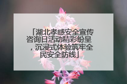湖北孝感安全宣传咨询日活动精彩纷呈，沉浸式体验筑牢全民安全防线